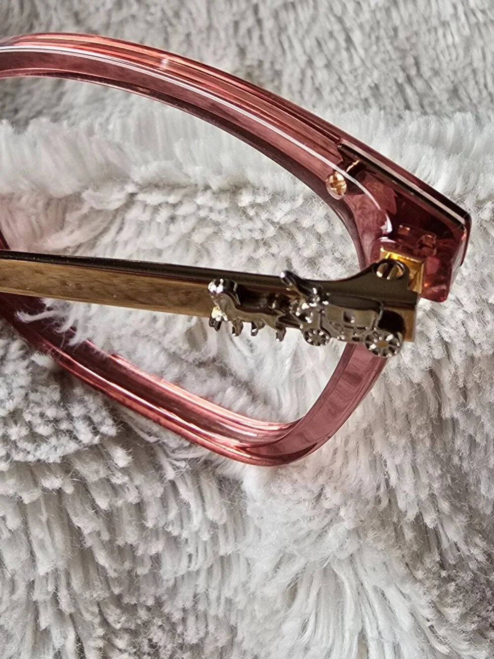 Coach Transparent Berry Frames